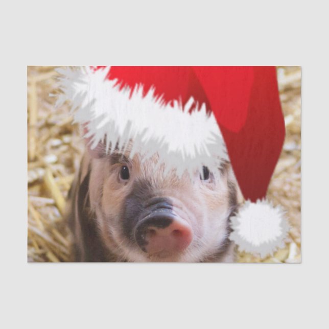Cute Little Christmas Piglet Tissue Paper (Front)