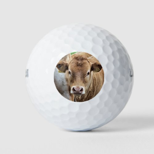 CUTE LITTLE COW GOLF BALLS