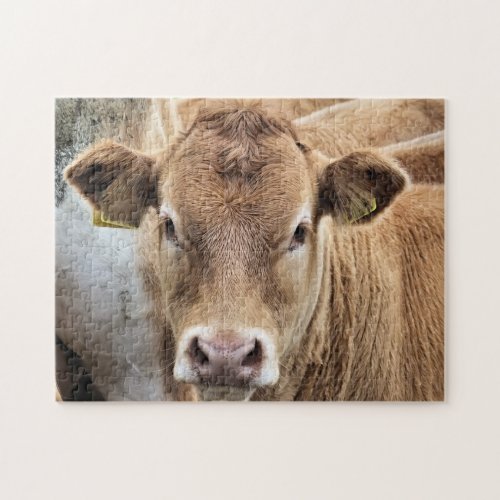 CUTE LITTLE COW JIGSAW PUZZLE