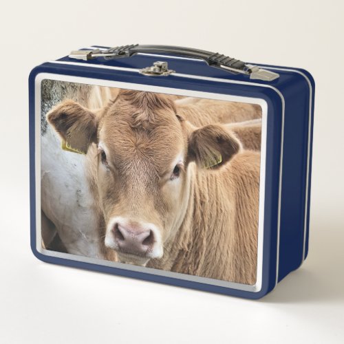 CUTE LITTLE COW METAL LUNCH BOX