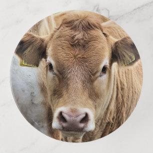 CUTE LITTLE COW TRINKET TRAY