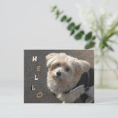 Cute Little Dog HELLO Postcard (Standing Front)