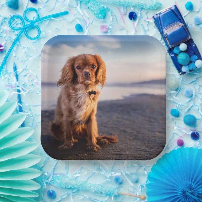 Cute Little Dog Paper Plates (Party)