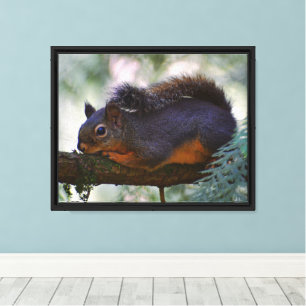 Cute Little Douglas Squirrel Wildlife Photo Canvas Print