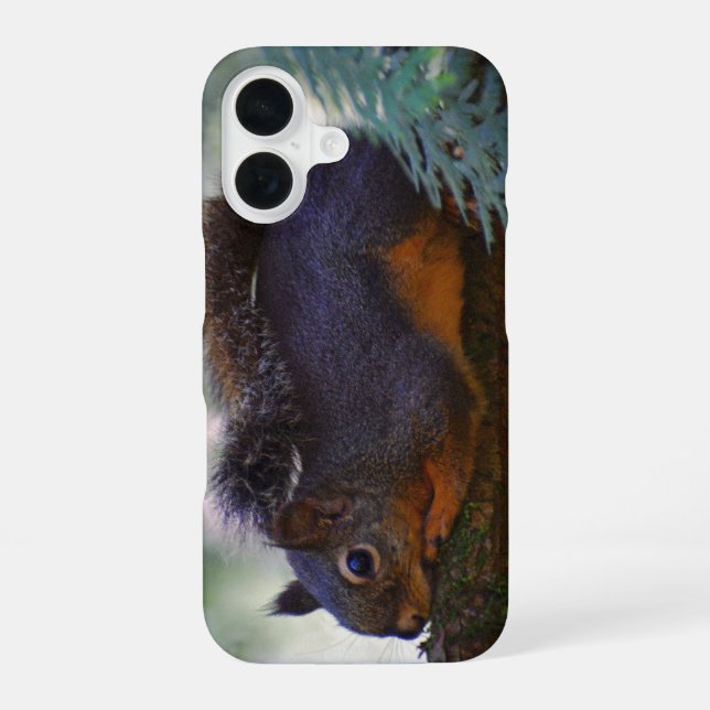 Cute Little Douglas Squirrel Wildlife Photo iPhone Case (Back)
