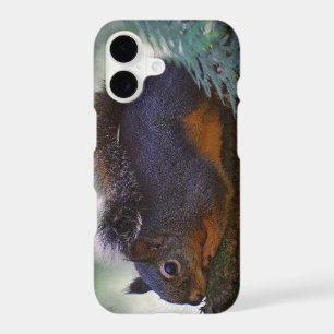 Cute Little Douglas Squirrel Wildlife Photo iPhone 17 Case