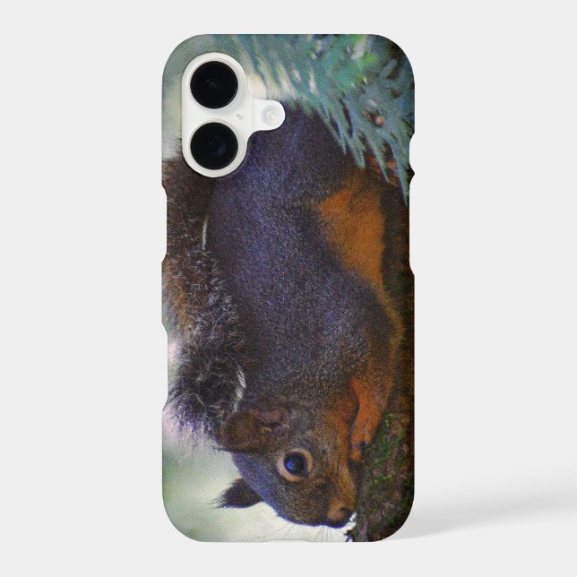 Cute Little Douglas Squirrel Wildlife Photo iPhone Case (Back)