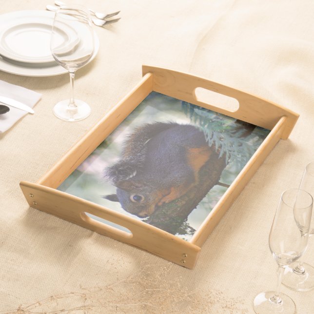 Cute Little Douglas Squirrel Wildlife Photo Serving Tray (Front)
