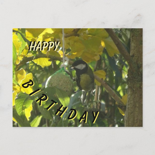 Cute Little Eating Bird Happy Birthday Postcard (Front)