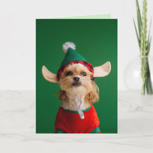 CUTE LITTLE ELF DOG FUNNY CHRISTMAS CARD