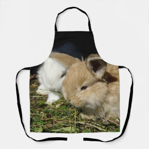 Cute little fluffy bunnies    apron
