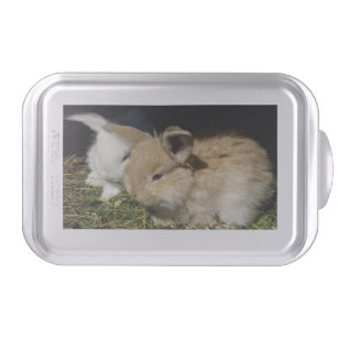 Cute little fluffy bunnies   cake pan
