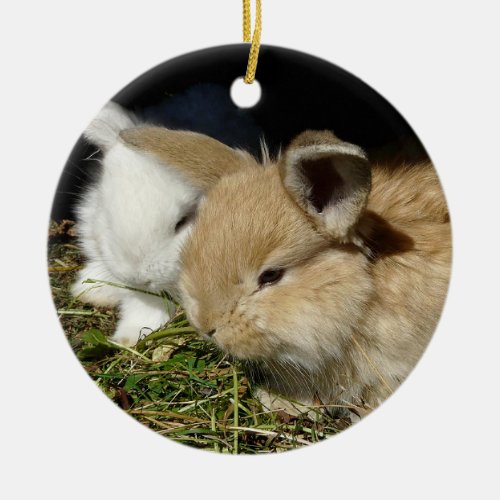 Cute little fluffy bunnies     ceramic ornament