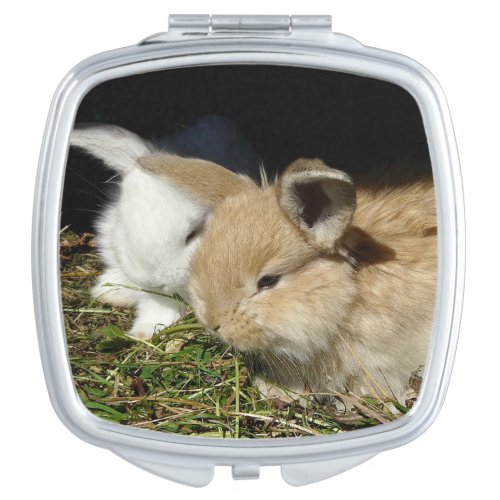 Cute little fluffy bunnies   compact mirror