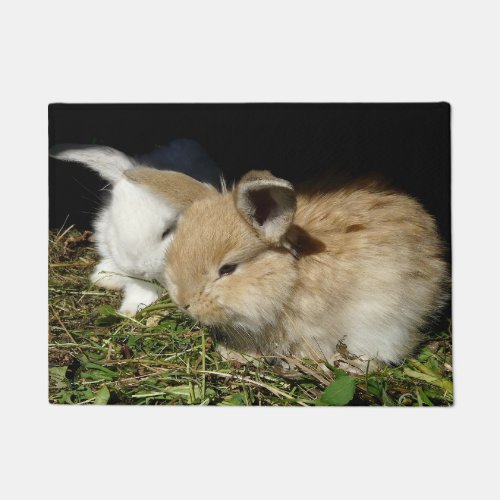 Cute little fluffy bunnies     doormat