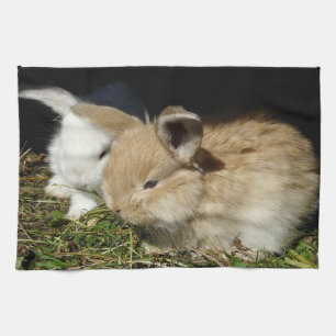 Cute little fluffy bunnies kitchen towel