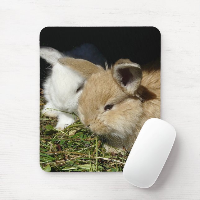 Cute little fluffy bunnies  mouse pad (With Mouse)