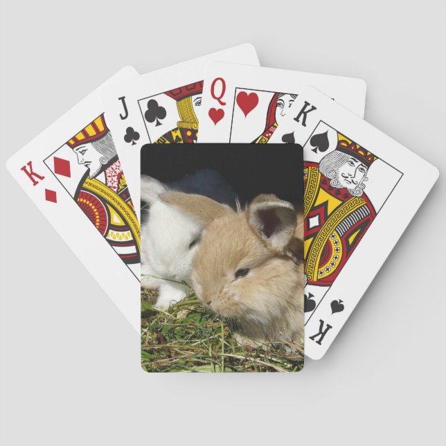 Cute little fluffy bunnies  poker cards (Back)
