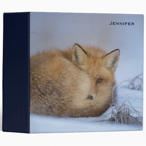 Cute Little Fox Curled Up Winter Photo 3 Ring Binder