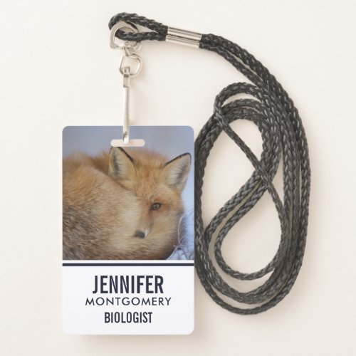 Cute Little Fox Curled Up Winter Photo Badge