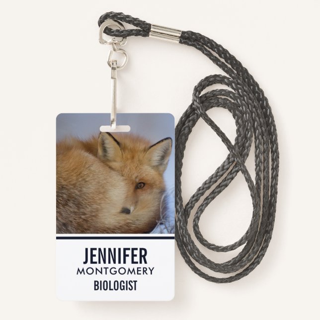 Cute Little Fox Curled Up Winter Photo Badge (Front with Lanyard)