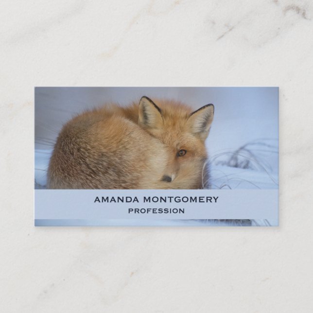 Cute Little Fox Curled Up Winter Photo Business Card (Front)