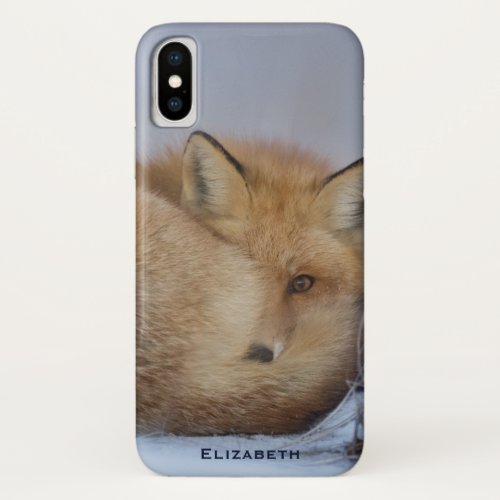 Cute Little Fox Curled Up Winter Photo iPhone X Case