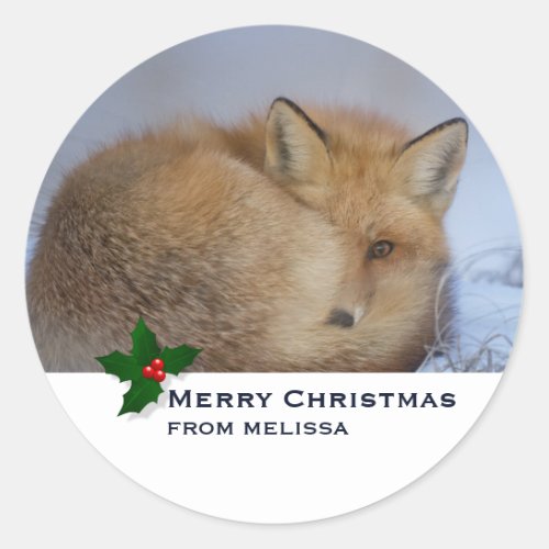Cute Little Fox Curled Up Winter Photo Christmas Classic Round Sticker