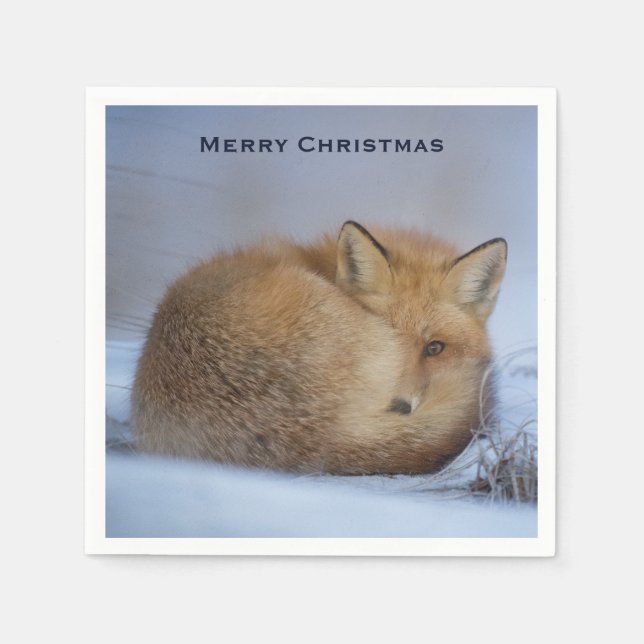 Cute Little Fox Curled Up Winter Photo Christmas Napkins (Front)