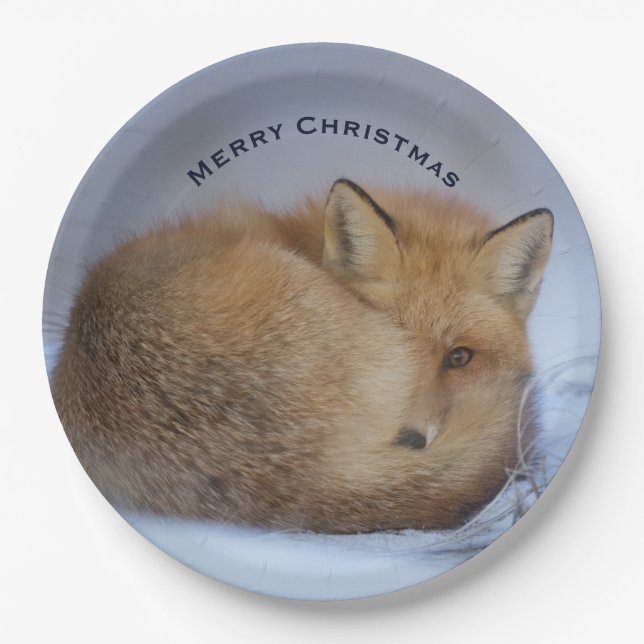 Cute Little Fox Curled Up Winter Photo Christmas Paper Plates (Front)