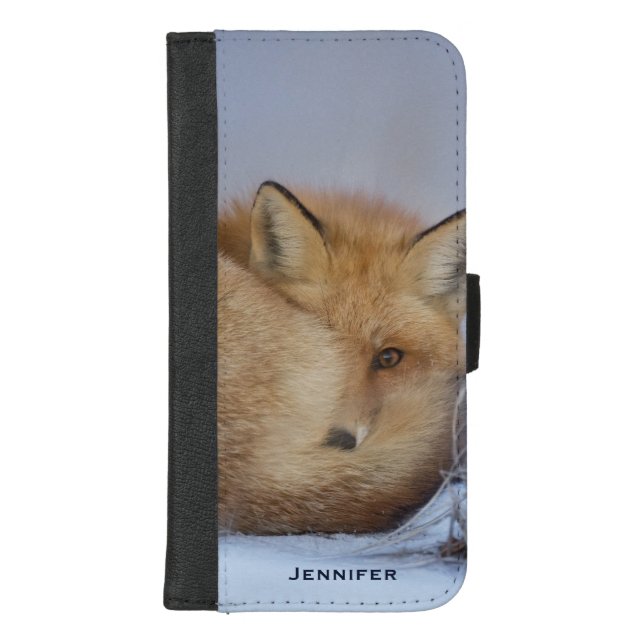 Cute Little Fox Curled Up Winter Photo iPhone Wallet Case (Front)