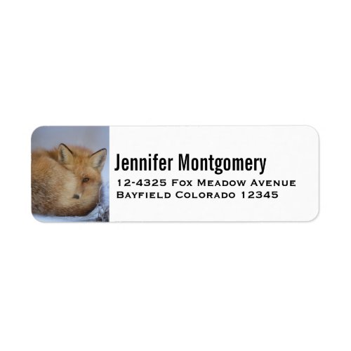 Cute Little Fox Curled Up Winter Photo Label