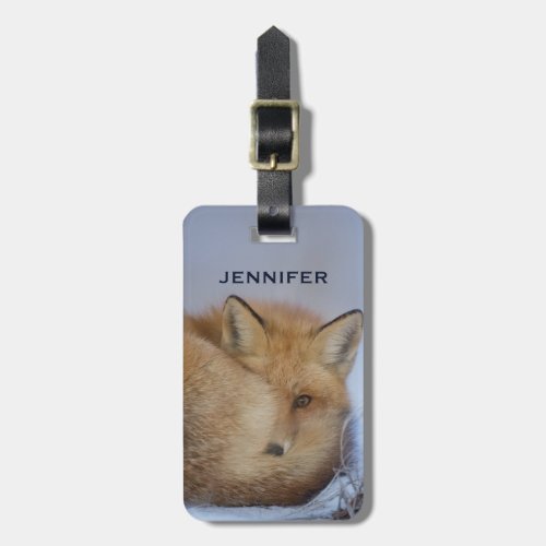 Cute Little Fox Curled Up Winter Photo Luggage Tag