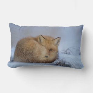 Cute Little Fox Curled Up Winter Photo Lumbar Pillow