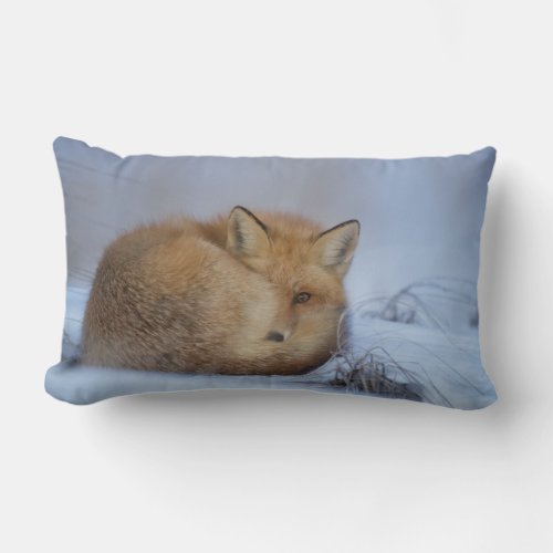 Cute Little Fox Curled Up Winter Photo Lumbar Pillow