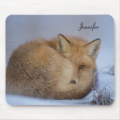 Cute Little Fox Curled Up Winter Photo Mouse Pad