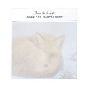 Cute Little Fox Curled Up Winter Photo Notepad