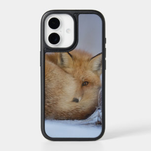 Cute Little Fox Curled Up Winter Photo iPhone 17 Case