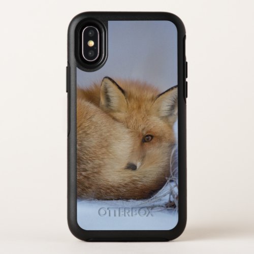 Cute Little Fox Curled Up Winter Photo OtterBox Symmetry iPhone X Case