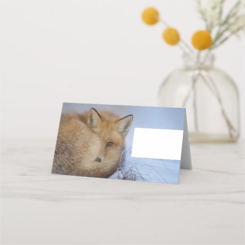 Cute Little Fox Curled Up Winter Photo Place Card