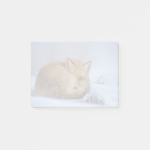 Cute Little Fox Curled Up Winter Photo Post-it Notes