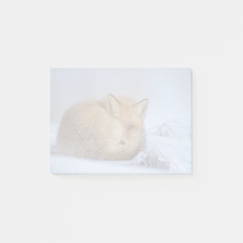 Cute Little Fox Curled Up Winter Photo Post_it Notes