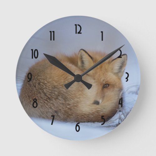 Cute Little Fox Curled Up Winter Photo Round Clock