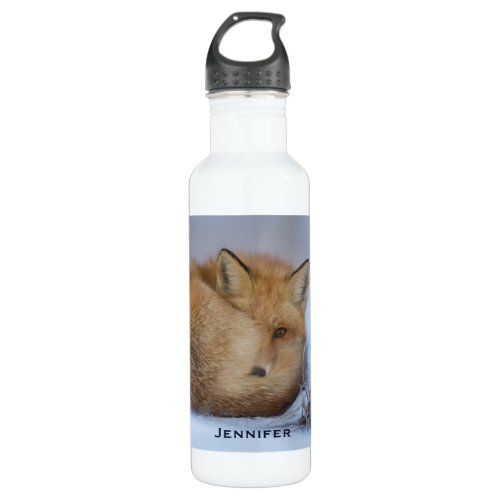 Cute Little Fox Curled Up Winter Photo Stainless Steel Water Bottle