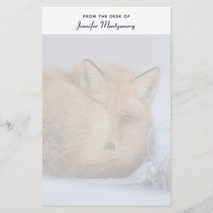 Cute Little Fox Curled Up Winter Photo Stationery