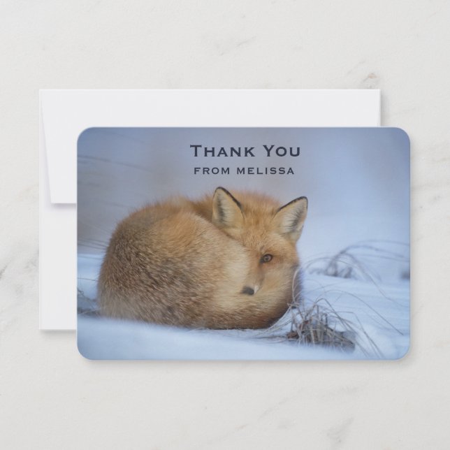 Cute Little Fox Curled Up Winter Photo Thank You Card (Front)
