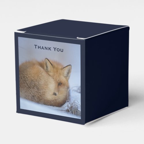 Cute Little Fox Curled Up Winter Photo Thank You Favor Boxes