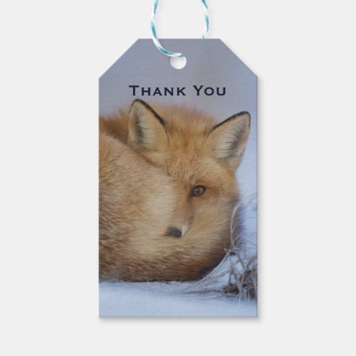 Cute Little Fox Curled Up Winter Photo Thank You Gift Tags