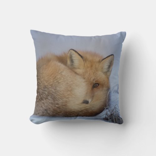 Cute Little Fox Curled Up Winter Photo Throw Pillow