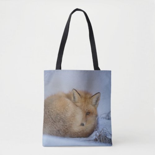 Cute Little Fox Curled Up Winter Photo Tote Bag